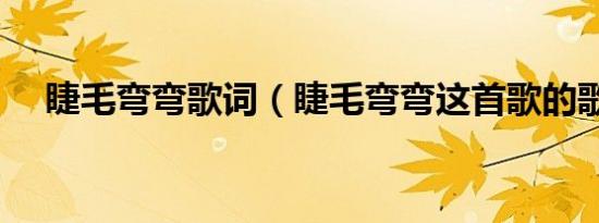 睫毛弯弯歌词（睫毛弯弯这首歌的歌词）