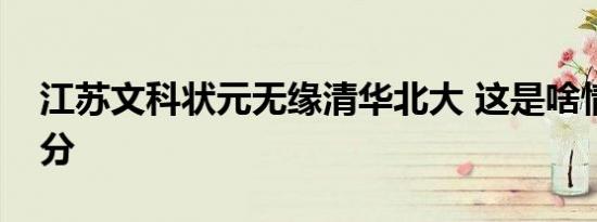 江苏文科状元无缘清华北大 这是啥情况多少分