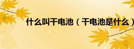 什么叫干电池（干电池是什么）