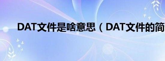 DAT文件是啥意思（DAT文件的简介）