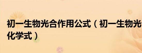 初一生物光合作用公式（初一生物光合作用的化学式）