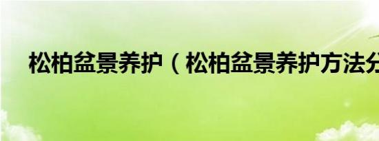 松柏盆景养护（松柏盆景养护方法分享）