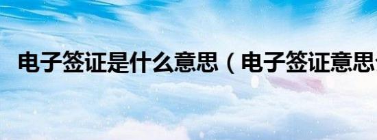 电子签证是什么意思（电子签证意思介绍）