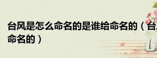 台风是怎么命名的是谁给命名的（台风是如何命名的）