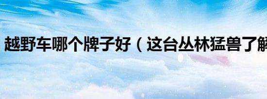 越野车哪个牌子好（这台丛林猛兽了解下！）