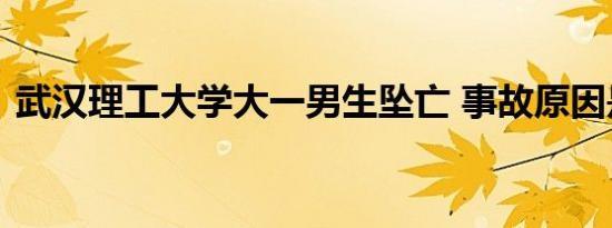 武汉理工大学大一男生坠亡 事故原因是什么