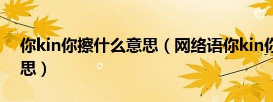 你kin你擦什么意思（网络语你kin你擦的意思）