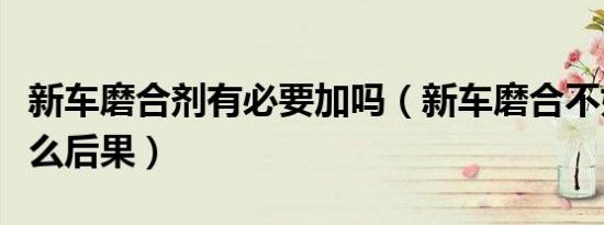 新车磨合剂有必要加吗（新车磨合不好会有什么后果）