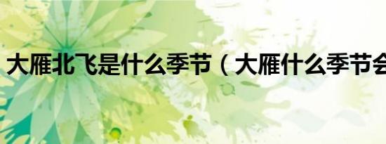 大雁北飞是什么季节（大雁什么季节会北飞）
