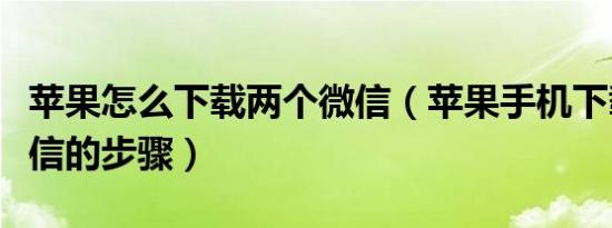 苹果怎么下载两个微信（苹果手机下载两个微信的步骤）