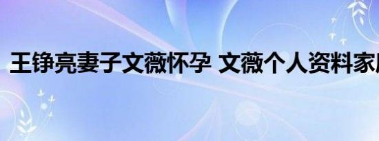 王铮亮妻子文薇怀孕 文薇个人资料家庭背景