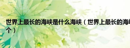 世界上最长的海峡是什么海峡（世界上最长的海峡到底是哪个）