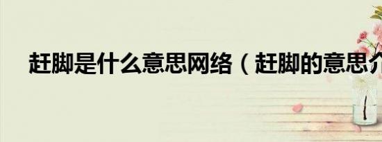 赶脚是什么意思网络（赶脚的意思介绍）