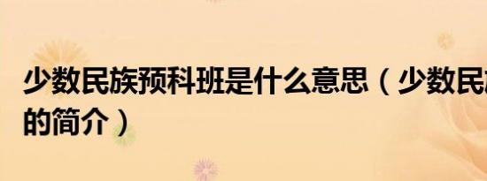少数民族预科班是什么意思（少数民族预科班的简介）