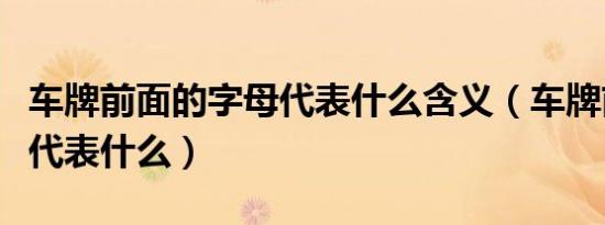 车牌前面的字母代表什么含义（车牌前面的字代表什么）