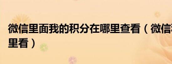 微信里面我的积分在哪里查看（微信积分在哪里看）