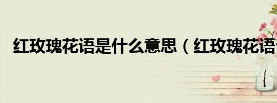 红玫瑰花语是什么意思（红玫瑰花语介绍）