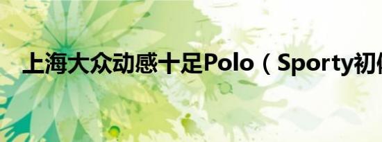 上海大众动感十足Polo（Sporty初体验）