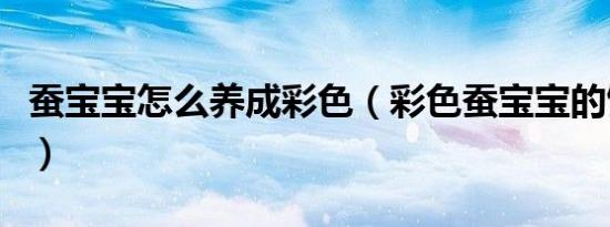 蚕宝宝怎么养成彩色（彩色蚕宝宝的饲养方法）
