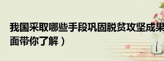 我国采取哪些手段巩固脱贫攻坚成果（6个方面带你了解）