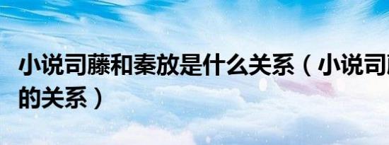 小说司藤和秦放是什么关系（小说司藤和秦放的关系）