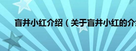 盲井小红介绍（关于盲井小红的介绍）