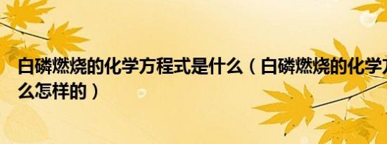 白磷燃烧的化学方程式是什么（白磷燃烧的化学方程式是什么怎样的）