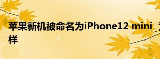 苹果新机被命名为iPhone12 mini 为什么这样