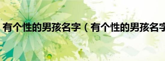 有个性的男孩名字（有个性的男孩名字推荐）