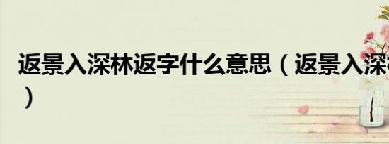 返景入深林返字什么意思（返景入深林的出处）