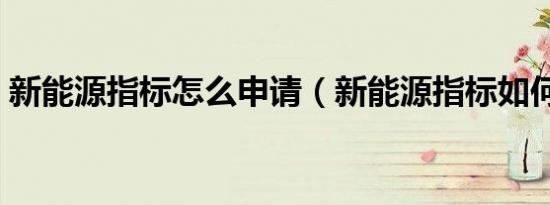 新能源指标怎么申请（新能源指标如何申请）