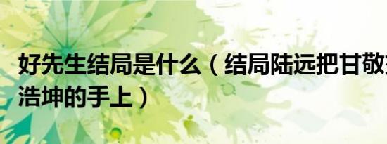 好先生结局是什么（结局陆远把甘敬交到了江浩坤的手上）