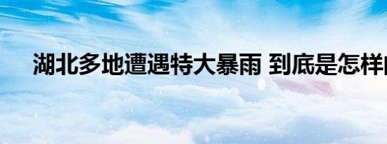 湖北多地遭遇特大暴雨 到底是怎样的呢