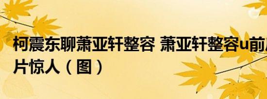 柯震东聊萧亚轩整容 萧亚轩整容u前后对比照片惊人（图）