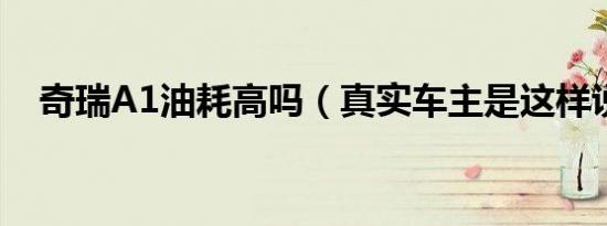 奇瑞A1油耗高吗（真实车主是这样说的）