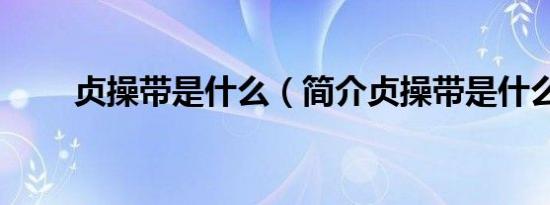 贞操带是什么（简介贞操带是什么）