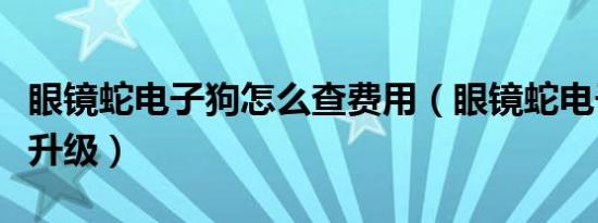 眼镜蛇电子狗怎么查费用（眼镜蛇电子狗怎么升级）