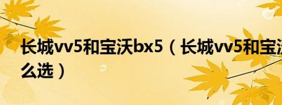 长城vv5和宝沃bx5（长城vv5和宝沃bx5怎么选）