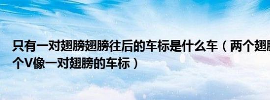 只有一对翅膀翅膀往后的车标是什么车（两个翅膀的车标一个V像一对翅膀的车标）