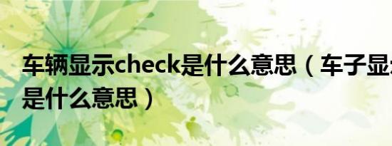 车辆显示check是什么意思（车子显示check是什么意思）