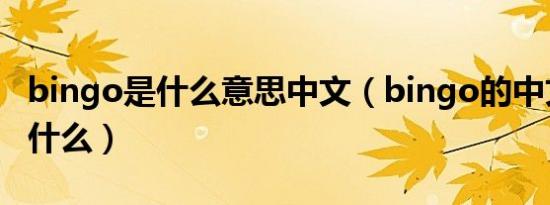 bingo是什么意思中文（bingo的中文意思是什么）
