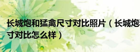 长城炮和猛禽尺寸对比照片（长城炮和猛禽尺寸对比怎么样）
