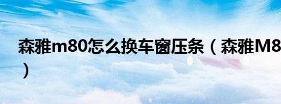 森雅m80怎么换车窗压条（森雅M80怎么样）