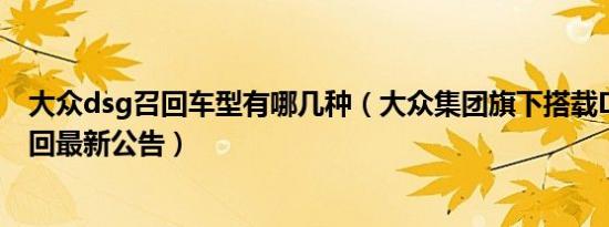 大众dsg召回车型有哪几种（大众集团旗下搭载DSG车型召回最新公告）