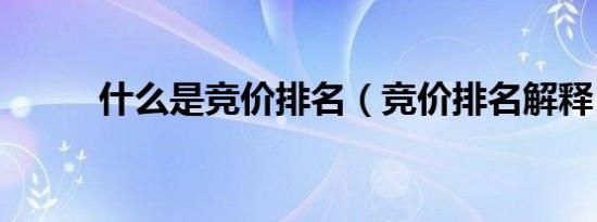 什么是竞价排名（竞价排名解释）