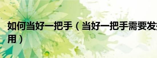 如何当好一把手（当好一把手需要发挥什么作用）