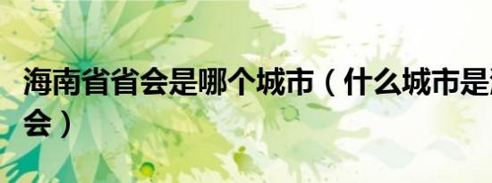 海南省省会是哪个城市（什么城市是海南省省会）