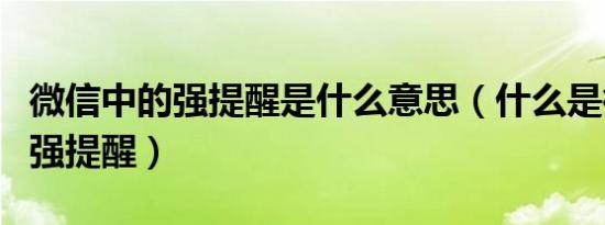 微信中的强提醒是什么意思（什么是微信中的强提醒）