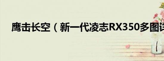鹰击长空（新一代凌志RX350多图详解）