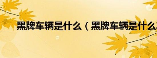 黑牌车辆是什么（黑牌车辆是什么车）